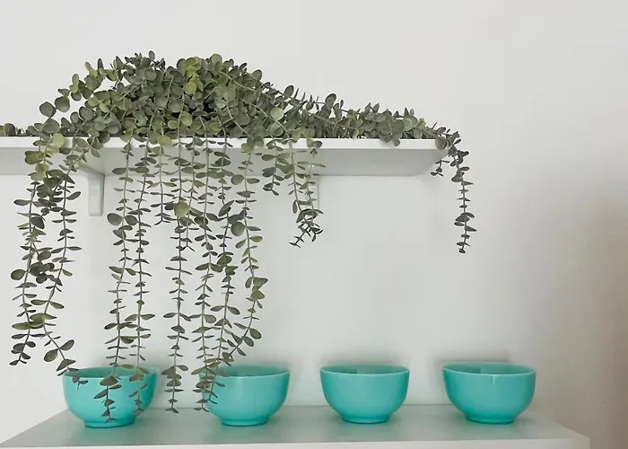 Astoria Ii 54 One Bedroom